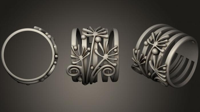 Jewelry rings (JVLRP_0618) 3D model for CNC machine